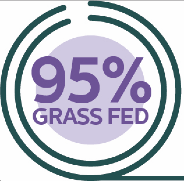 95 percent grass fed icon