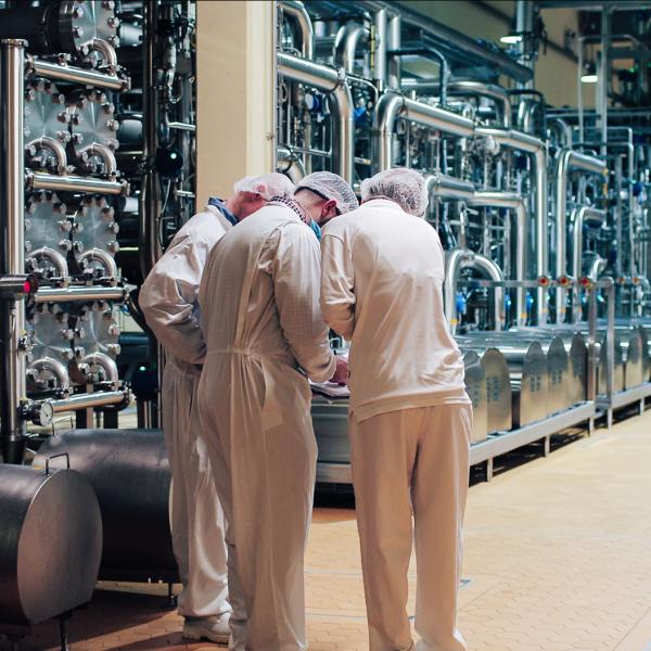 Three employees in white overalls working in a Glanbia Ireland factory