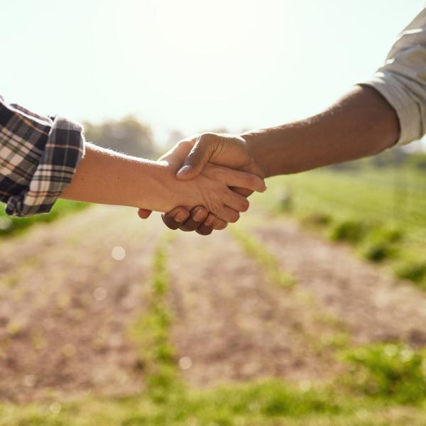 Handshake between two people in front of a field