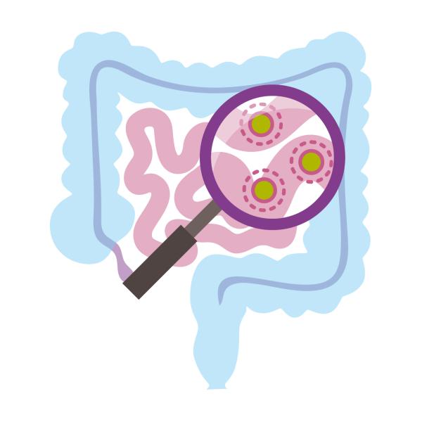 graphic of gut with magnifying glass over it