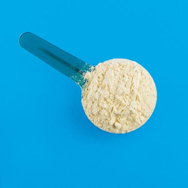 image of protein powder