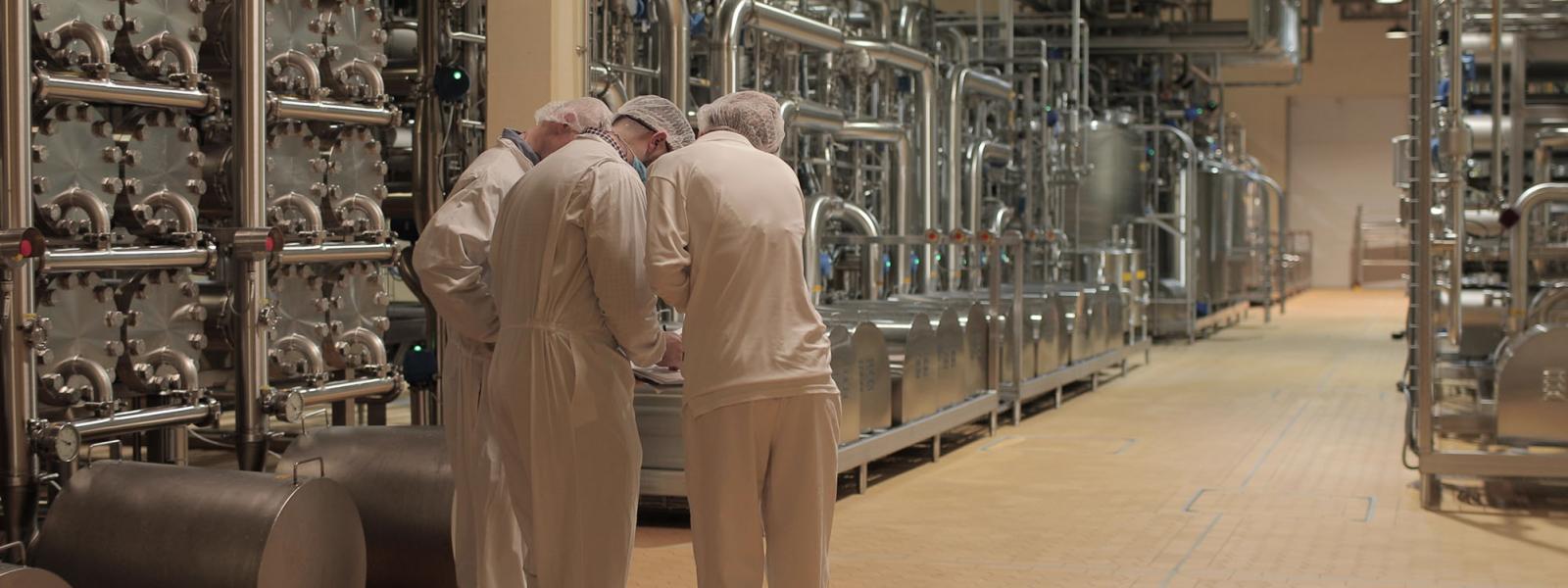 Three employees in white overalls working in a Glanbia Ireland factory discussing quality
